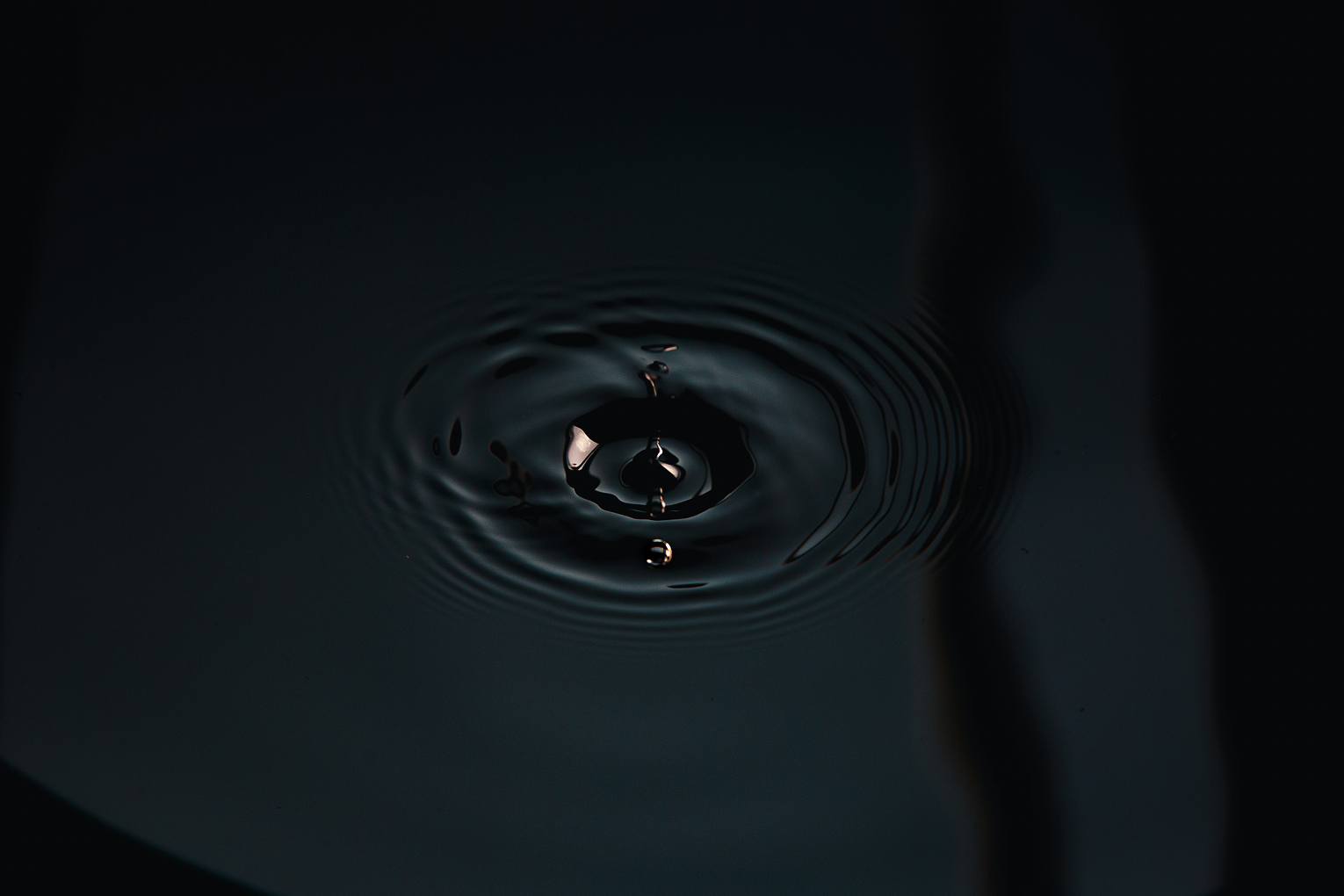 Транснефть: сохраняет устойчивость, несмотря на колебания курса и стоимости нефти 